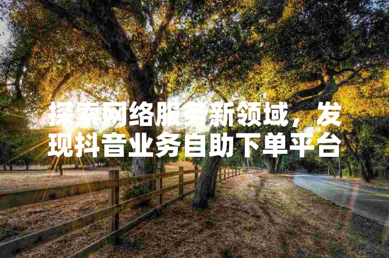 探索网络服务新领域，发现抖音业务自助下单平台的便捷与经济，同时寻找快手评论增长的最惠解决方案。