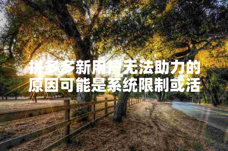 拼多多新用户无法助力的原因可能是系统限制或活动规则调整。