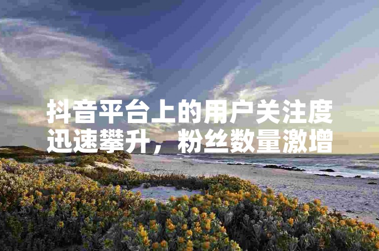 抖音平台上的用户关注度迅速攀升，粉丝数量激增。