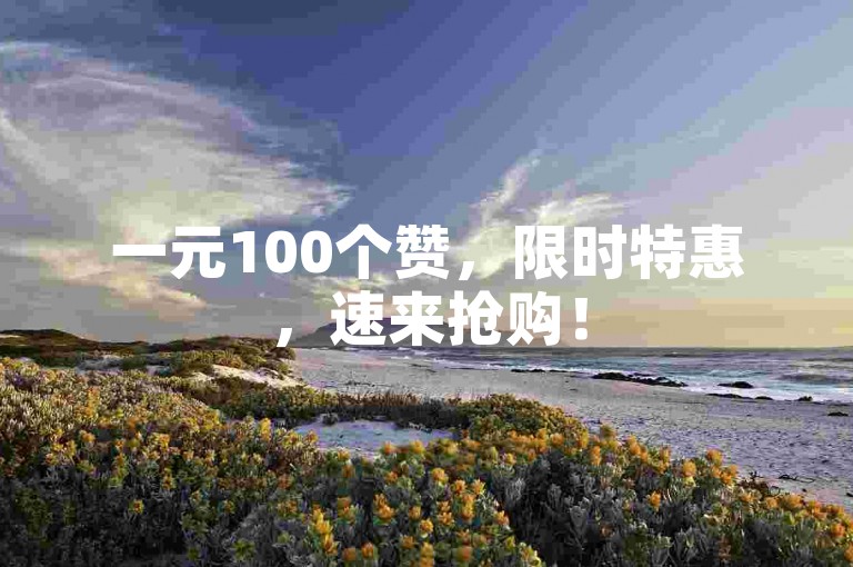 一元100个赞，限时特惠，速来抢购！