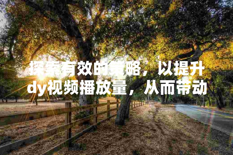 探索有效的策略，以提升dy视频播放量，从而带动网站流量增长和营业额提升。