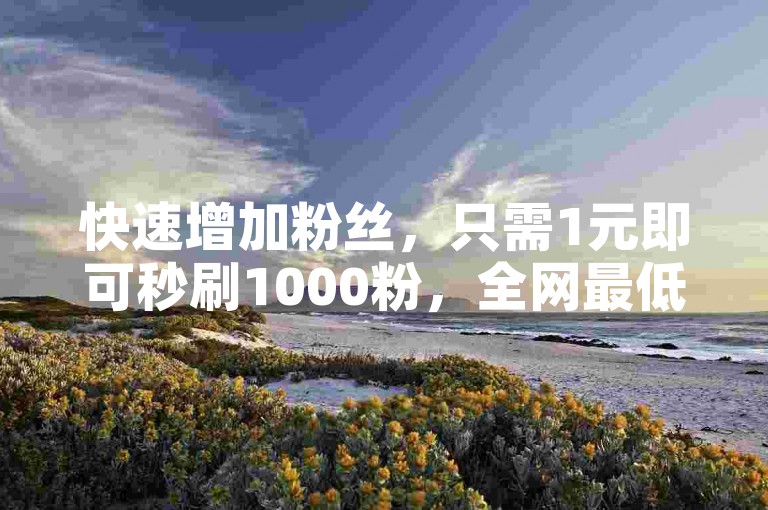 快速增加粉丝，只需1元即可秒刷1000粉，全网最低价的自助下单服务等你来体验。
