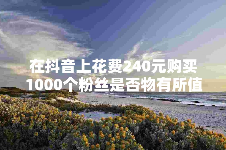 在抖音上花费240元购买1000个粉丝是否物有所值，以及QQ绿砖自助下单商城提供的dy评论下单业务和日薪300元的抖音点赞关注服务。