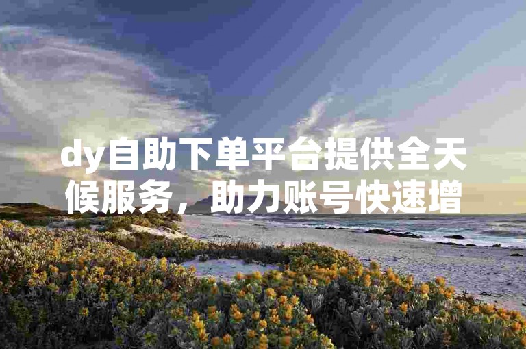 dy自助下单平台提供全天候服务，助力账号快速增粉 - 全网最实惠的涨赞解决方案。