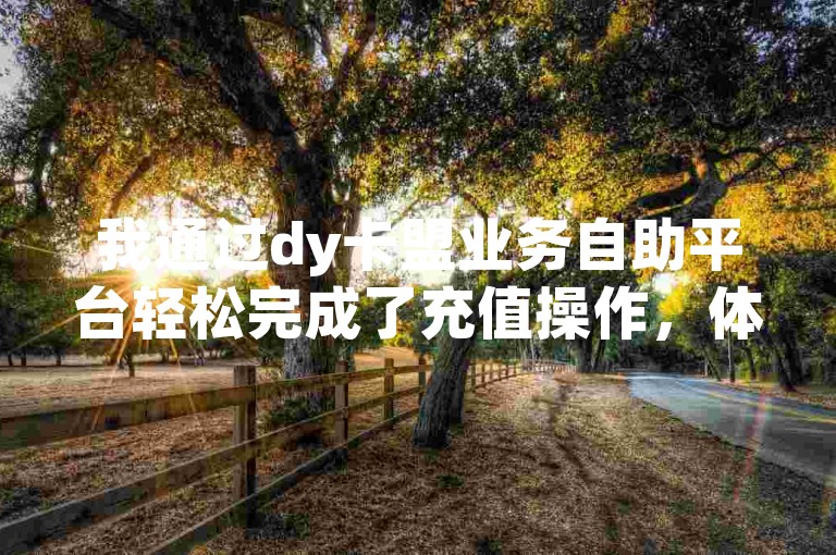 我通过dy卡盟业务自助平台轻松完成了充值操作，体验非常顺畅。