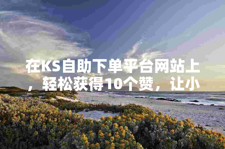 在KS自助下单平台网站上，轻松获得10个赞，让小红书内容更受欢迎。