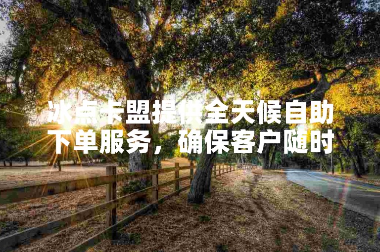 冰点卡盟提供全天候自助下单服务，确保客户随时满足需求。