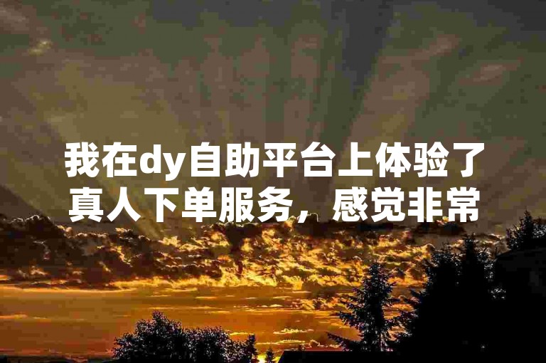 我在dy自助平台上体验了真人下单服务，感觉非常便捷和高效。