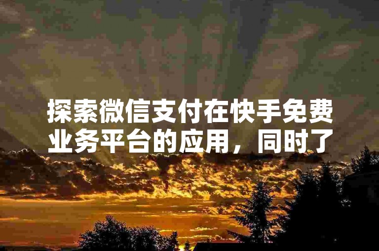 探索微信支付在快手免费业务平台的应用，同时了解如何在抖音上进行内容推广。