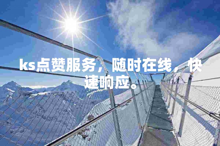 ks点赞服务，随时在线，快速响应。