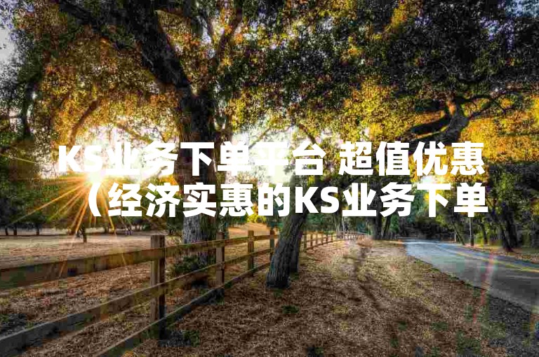 KS业务下单平台 超值优惠（经济实惠的KS业务下单新平台）
