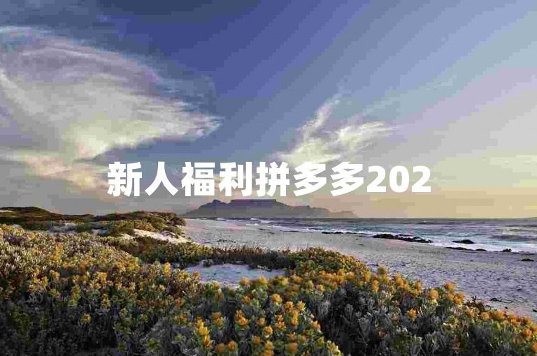 新人福利拼多多2025年助力技巧分享。