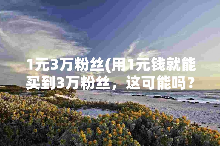 1元3万粉丝(用1元钱就能买到3万粉丝，这可能吗？)