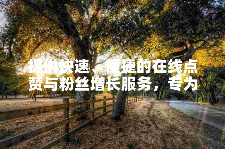 提供快速、便捷的在线点赞与粉丝增长服务，专为社交媒体用户打造的24小时自助下单平台。