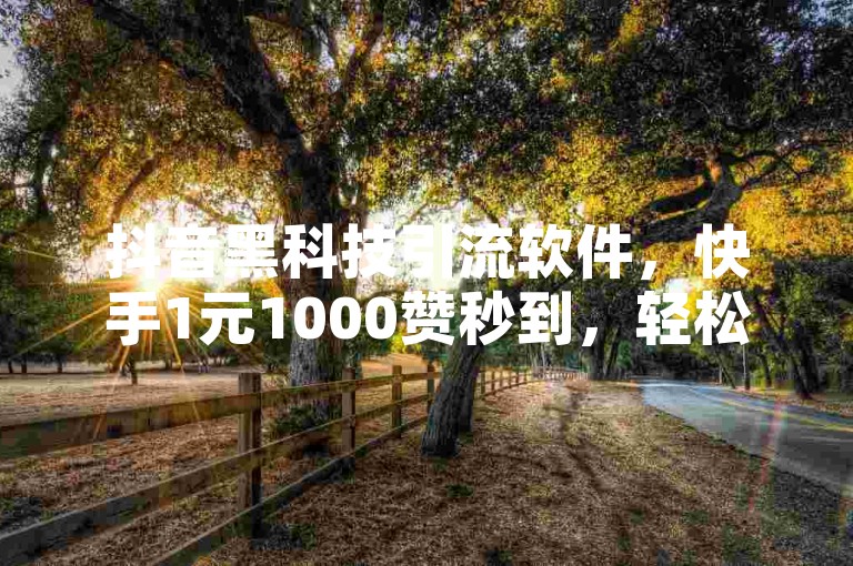 抖音黑科技引流软件，快手1元1000赞秒到，轻松提升人气。