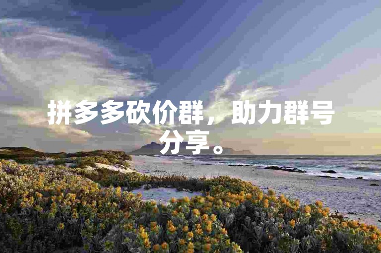 拼多多砍价群，助力群号分享。
