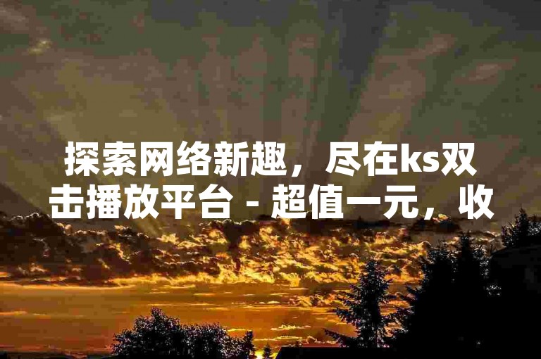探索网络新趣，尽在ks双击播放平台 - 超值一元，收获200赞誉的自助服务站点。