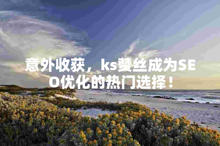 意外收获，ks赞丝成为SEO优化的热门选择！