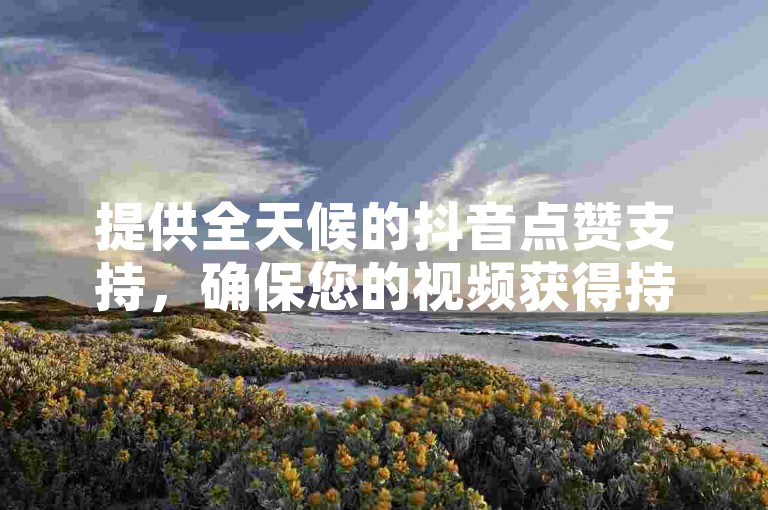提供全天候的抖音点赞支持，确保您的视频获得持续而稳定的观众互动。