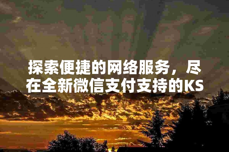 探索便捷的网络服务，尽在全新微信支付支持的KS业务下单平台，提供QQ空间访客量提升服务，享受卡盟抖音的独家揭秘，全天候免费下单，快速响应您的需求！