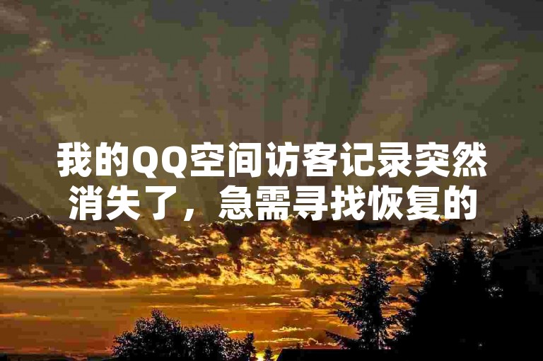 我的QQ空间访客记录突然消失了，急需寻找恢复的技巧。