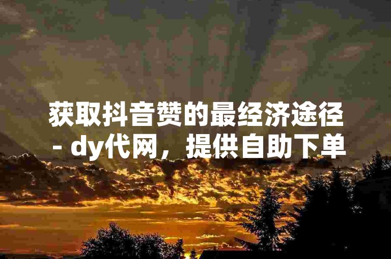 获取抖音赞的最经济途径 - dy代网，提供自助下单服务。