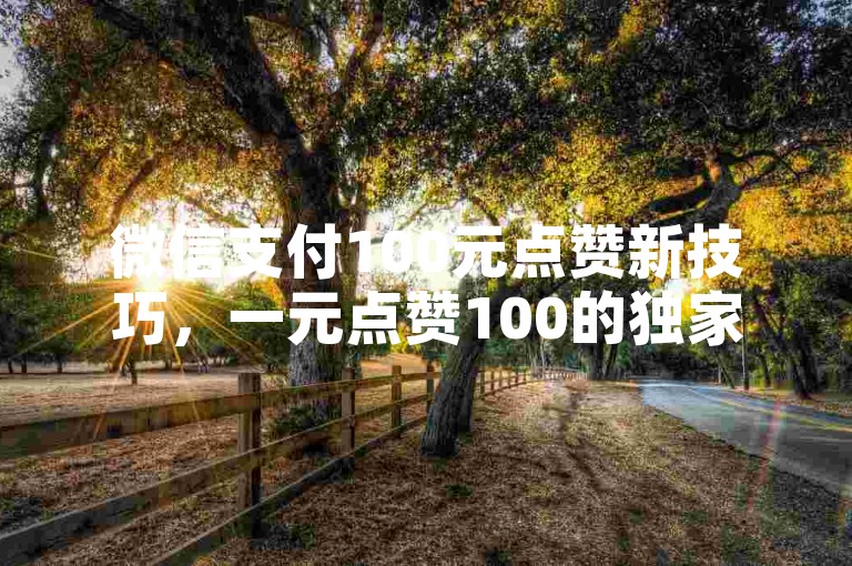 微信支付100元点赞新技巧，一元点赞100的独家揭秘，2025年必备技能！