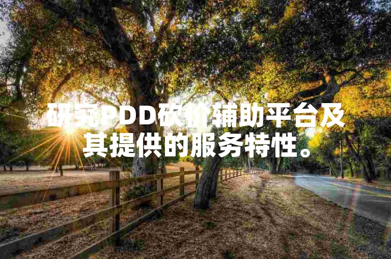 研究PDD砍价辅助平台及其提供的服务特性。