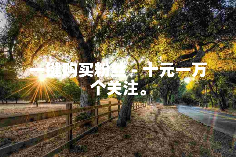 一键购买粉丝 - 十元一万个关注。