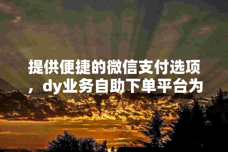 提供便捷的微信支付选项，dy业务自助下单平台为用户带来无缝的免费服务体验。