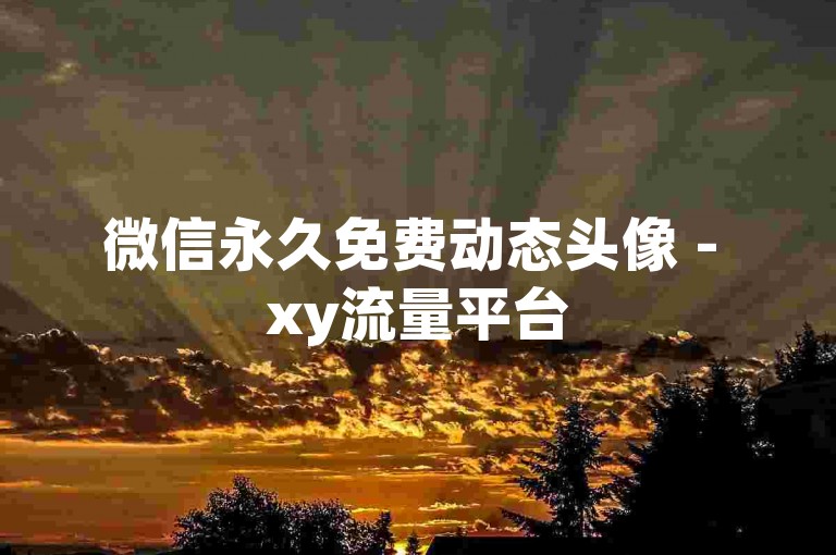 微信永久免费动态头像 - xy流量平台