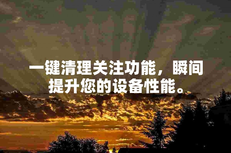 一键清理关注功能，瞬间提升您的设备性能。