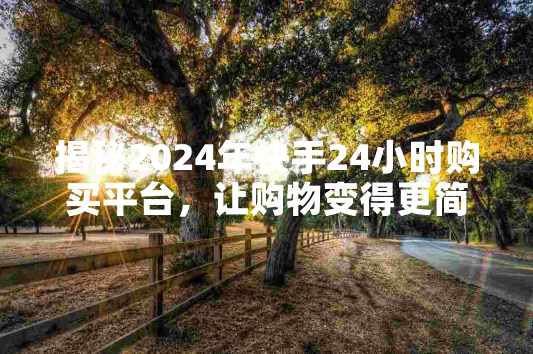 揭秘2024年快手24小时购买平台，让购物变得更简单，全天候服务等你来体验！