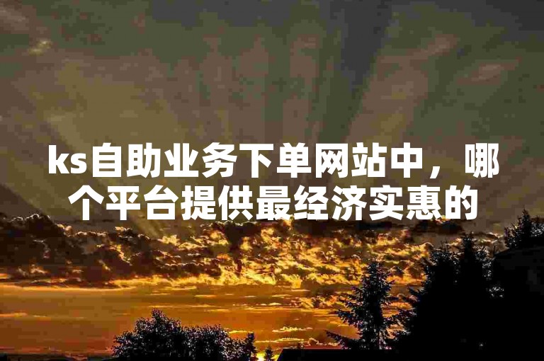 ks自助业务下单网站中，哪个平台提供最经济实惠的服务？