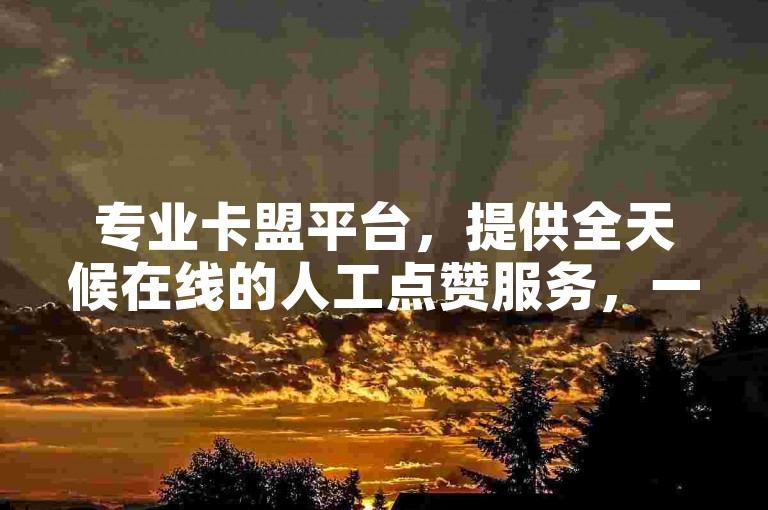 专业卡盟平台，提供全天候在线的人工点赞服务，一手货源直达，助力业务飞速增长。