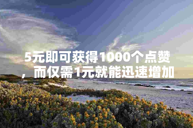 5元即可获得1000个点赞，而仅需1元就能迅速增加1000名粉丝。
