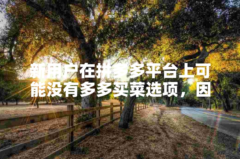 新用户在拼多多平台上可能没有多多买菜选项，因为该服务可能还未全面向所有新注册用户开放。