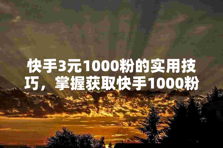 快手3元1000粉的实用技巧，掌握获取快手1000粉丝仅需3元的秘诀！新手必读！