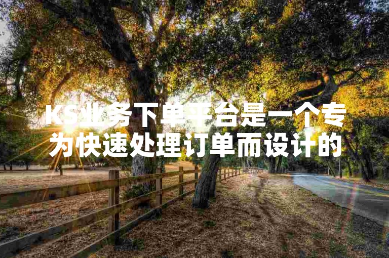KS业务下单平台是一个专为快速处理订单而设计的高效系统。