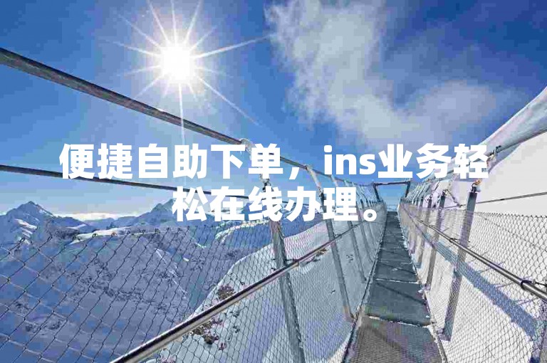便捷自助下单，ins业务轻松在线办理。