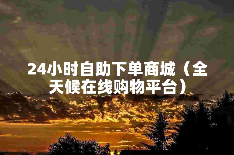 24小时自助下单商城（全天候在线购物平台）