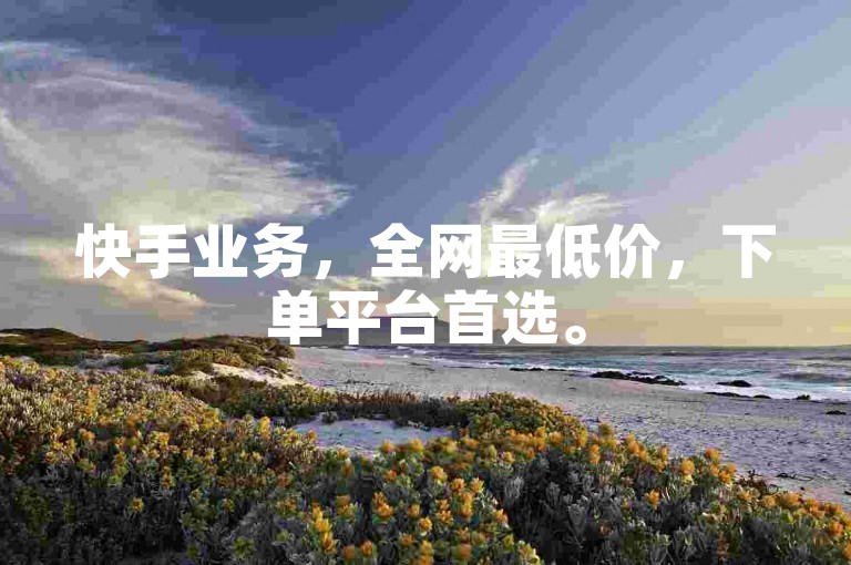 快手业务，全网最低价，下单平台首选。