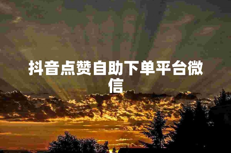 抖音点赞自助下单平台微信