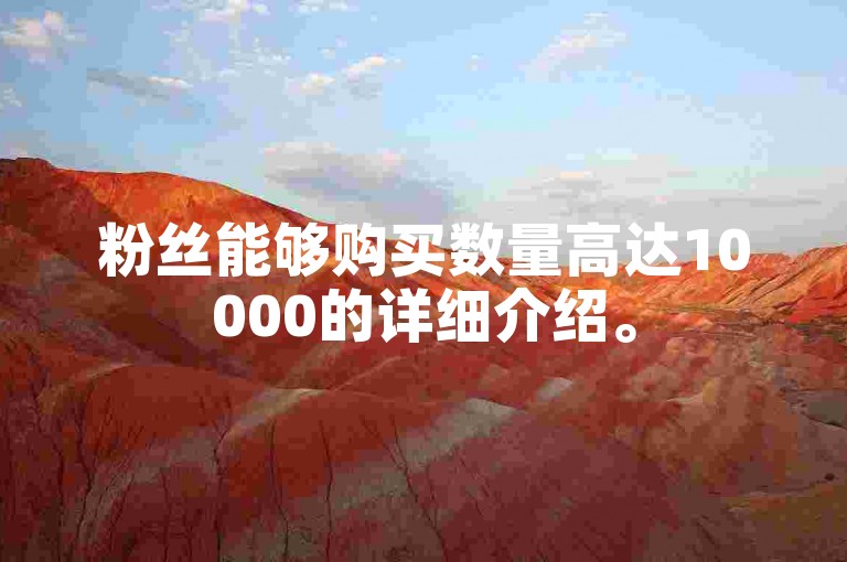 粉丝能够购买数量高达10000的详细介绍。