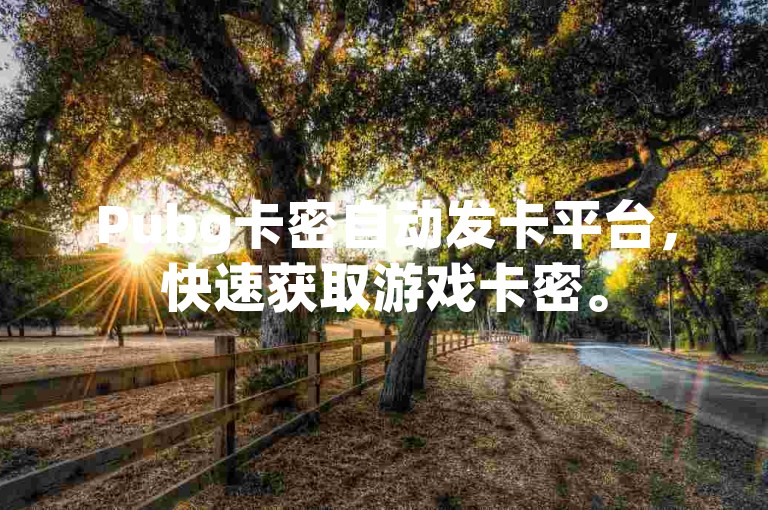 Pubg卡密自动发卡平台，快速获取游戏卡密。