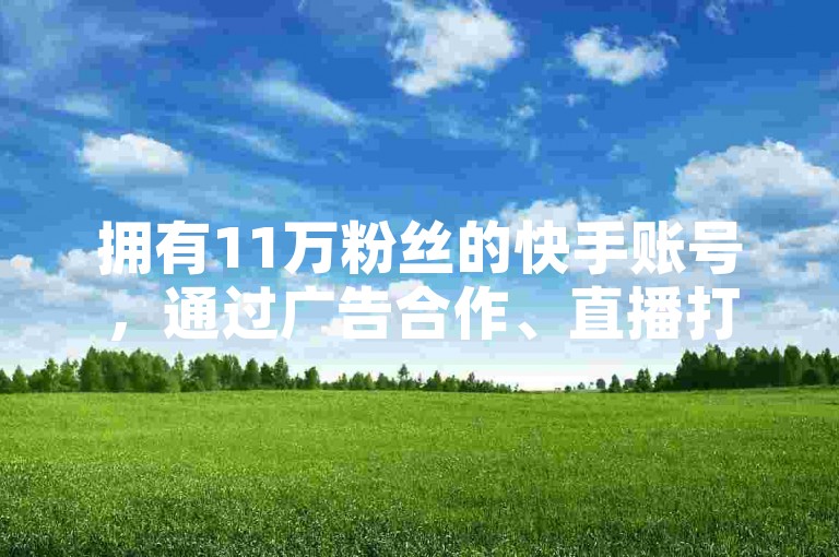 拥有11万粉丝的快手账号，通过广告合作、直播打赏等方式，每月可能赚取数千至数万元不等。