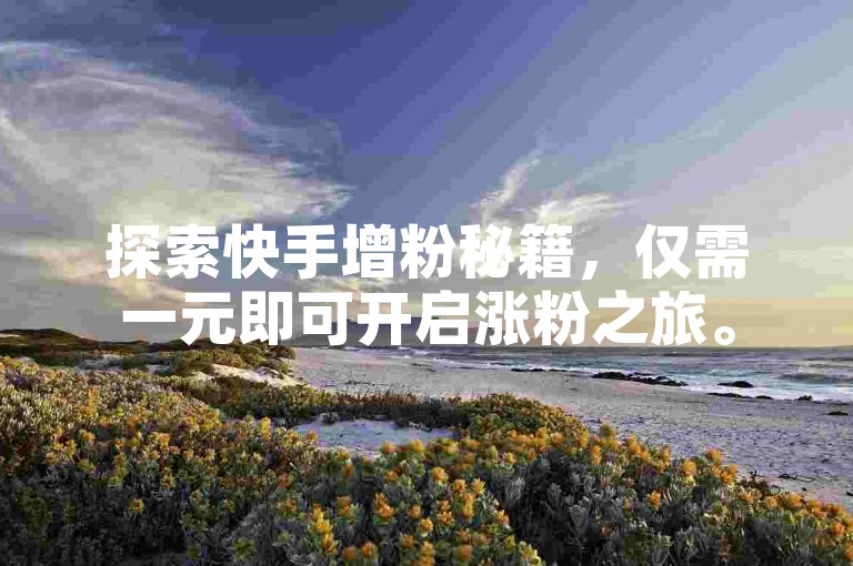 探索快手增粉秘籍，仅需一元即可开启涨粉之旅。