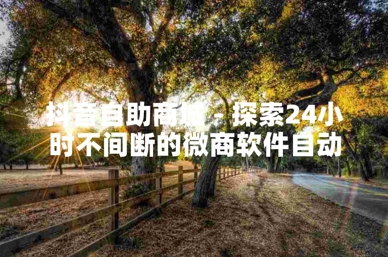 抖音自助商城 - 探索24小时不间断的微商软件自动下单体验！