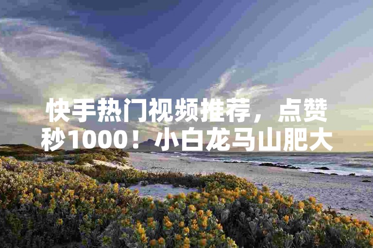 快手热门视频推荐，点赞秒1000！小白龙马山肥大地房产装修秘籍大公开。
