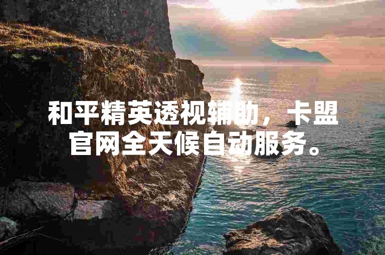 和平精英透视辅助，卡盟官网全天候自动服务。